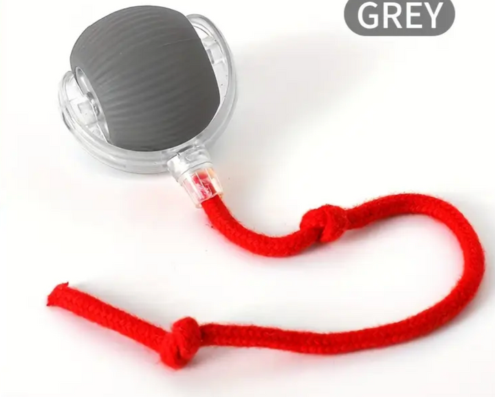 Ball Interactive with USB Charging