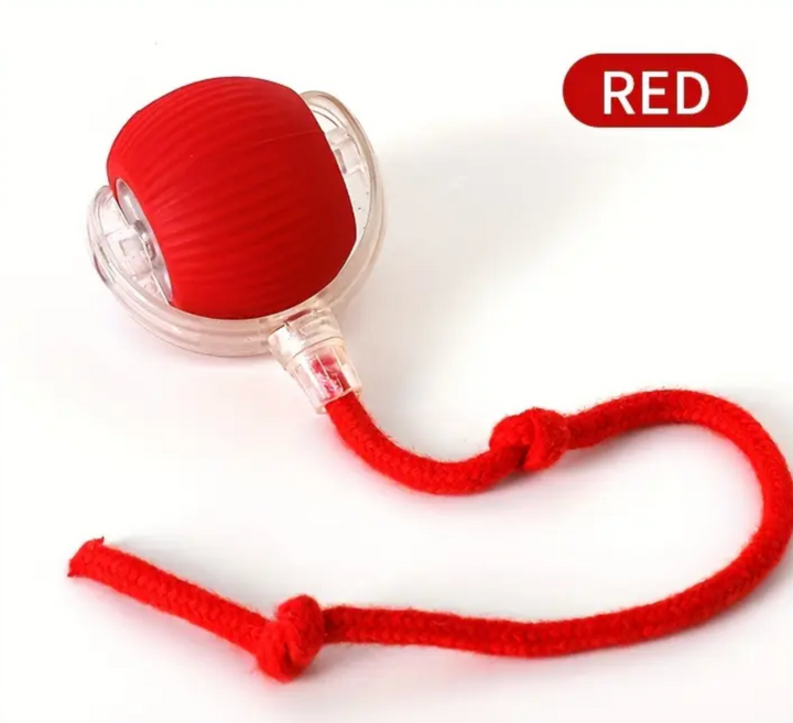 Ball Interactive with USB Charging